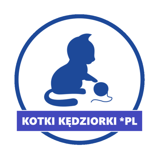 kotki-k-dziorki-pl-hodowla-kot-w-rasowych-devon-rex