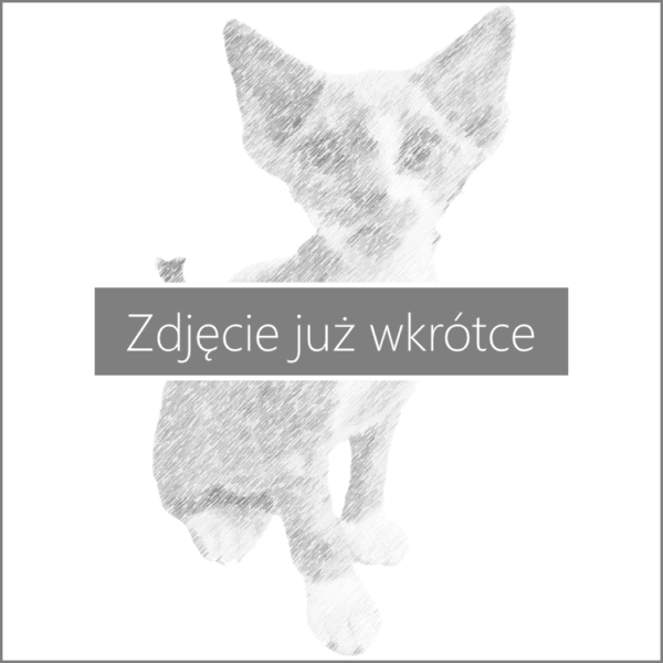 Oczekiwanie na obrazek produktu