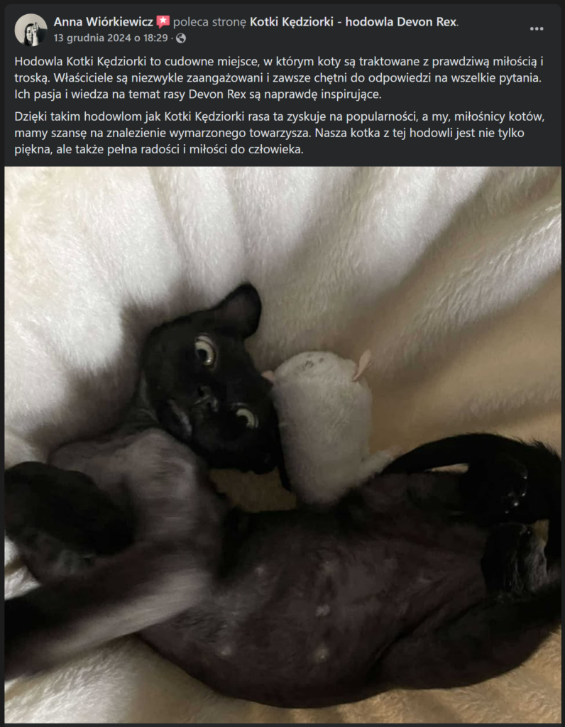 Anna Wiórkiewicz (Finezja)