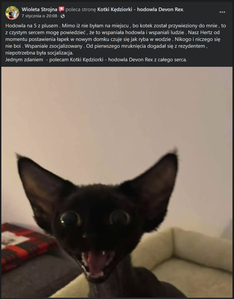 Wioletta Strojna (Hertz)